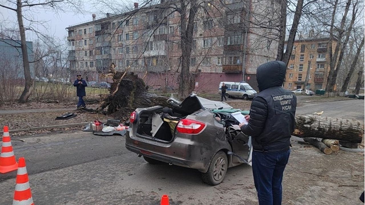 Rusya'da hareket eden aracın üzerine ağaç devrildi!