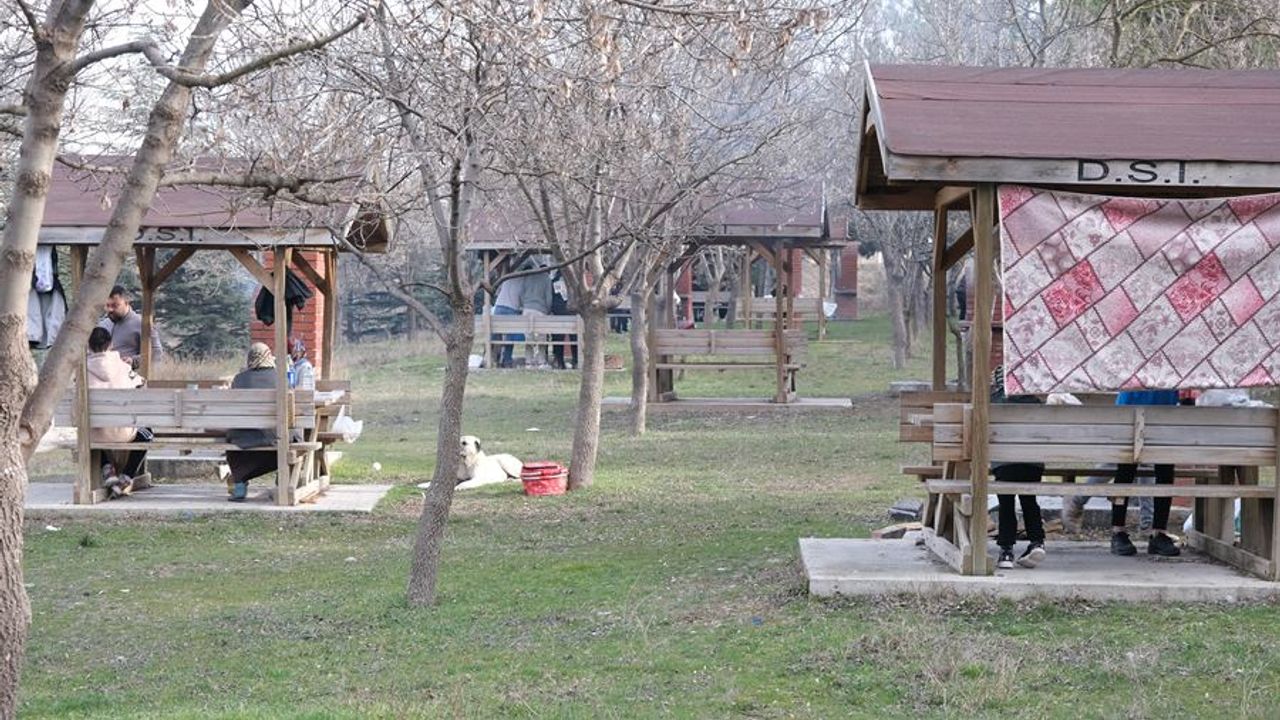 Eskişehir'de Şubat'ta piknik keyfi