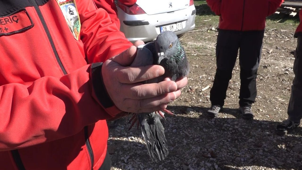 Havalandırma boşluğuna düşen güvercin kurtarıldı