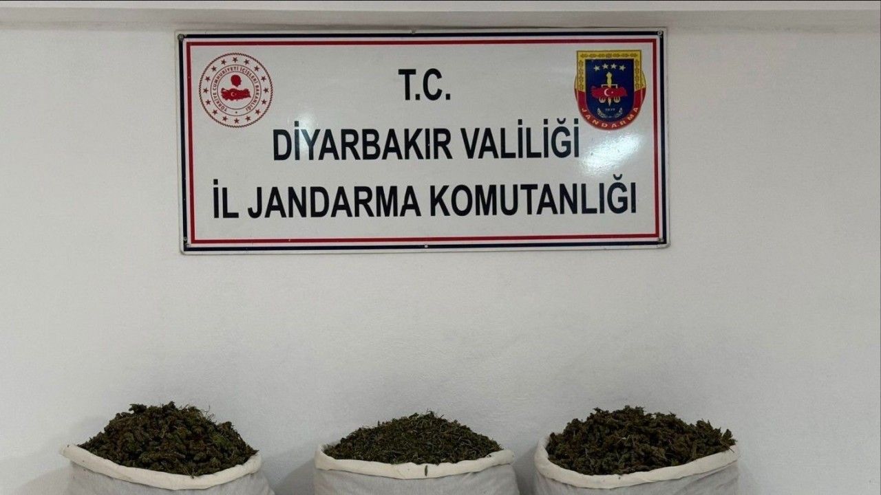 15 kilo skunk ele geçirildi