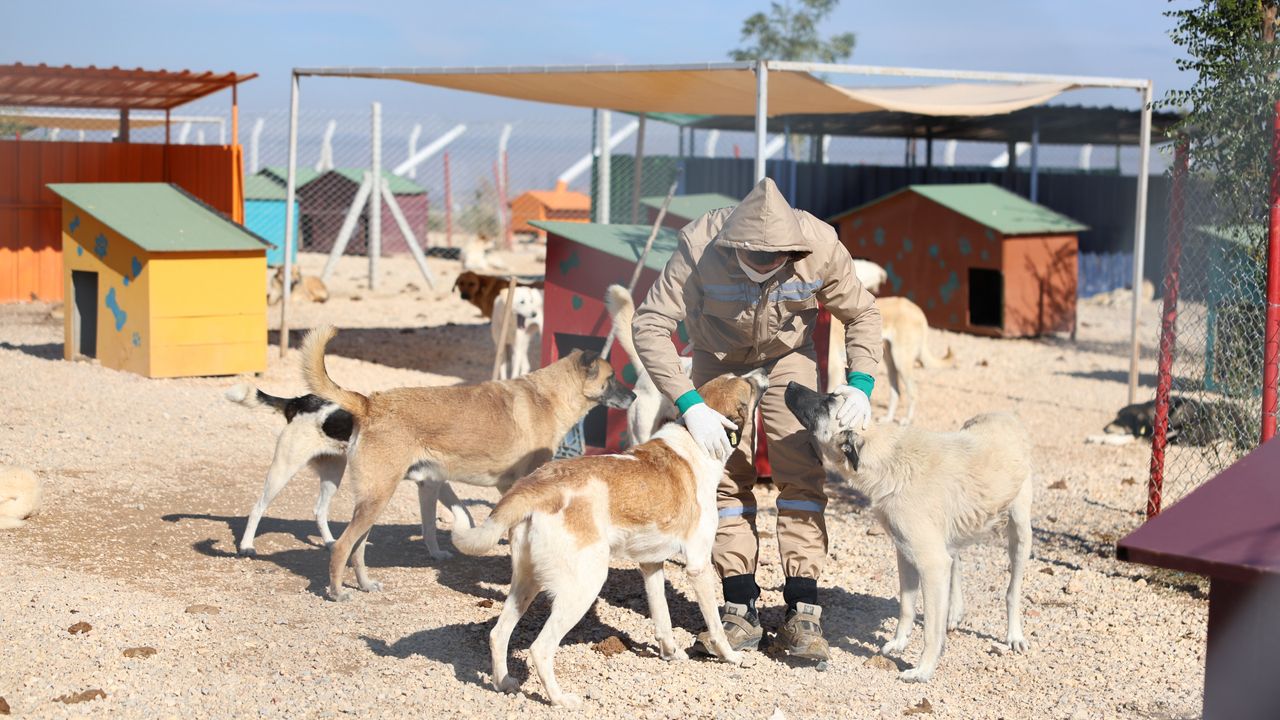 Eskişehir'de o yaşam alanı hızla tamamlanıyor...