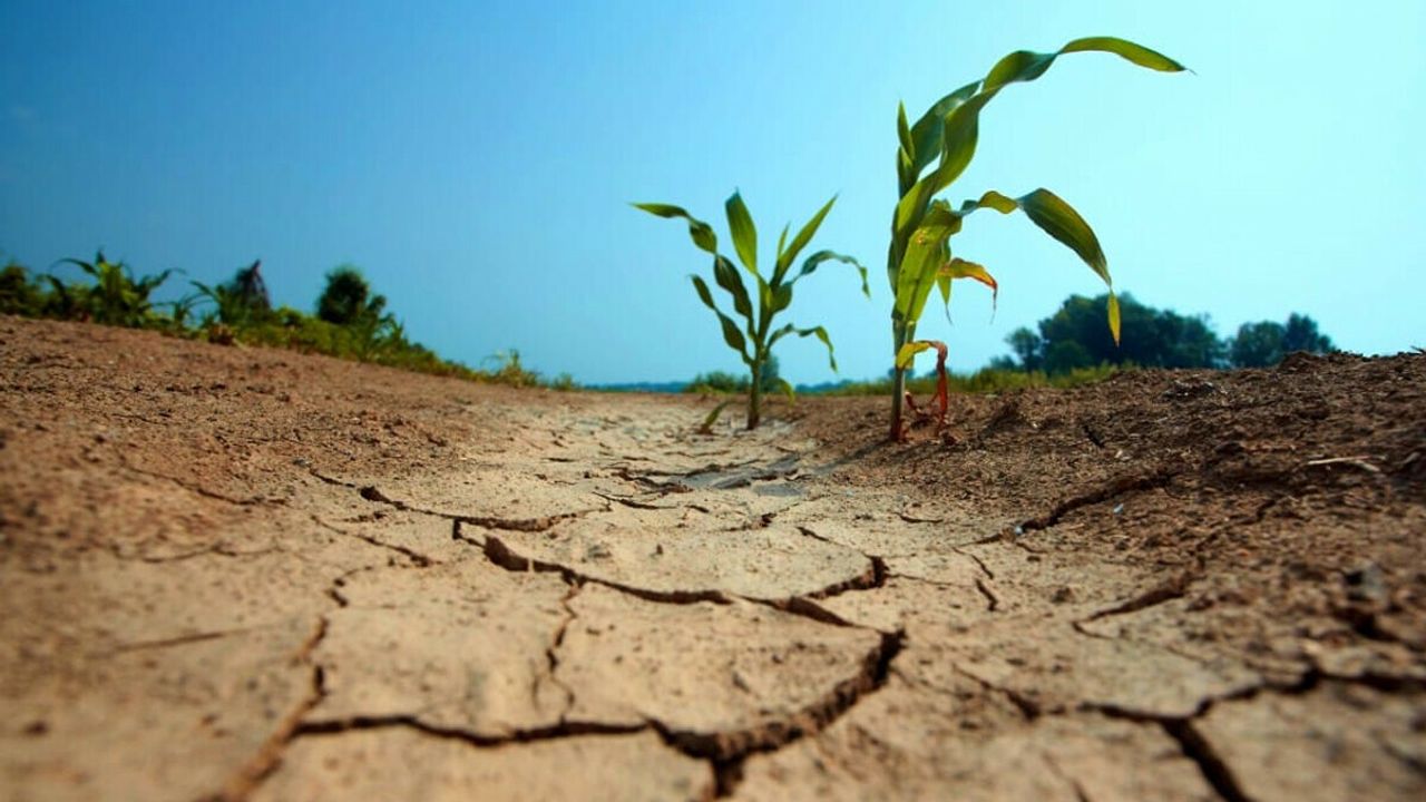 Tepebaşı'nda kuraklık alarmı!