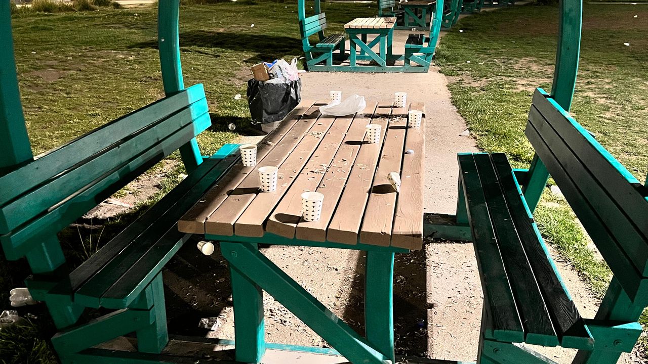 Eskişehir'deki parkta çirkin görüntü!