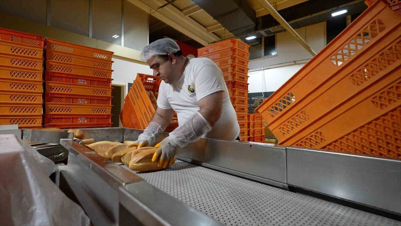 Günde 100 bini aşan ekmek üretiyorlar
