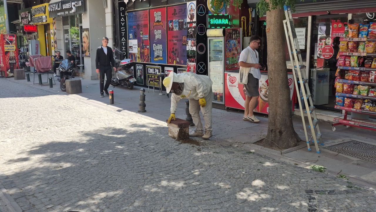 Kent merkezinde arı paniği!