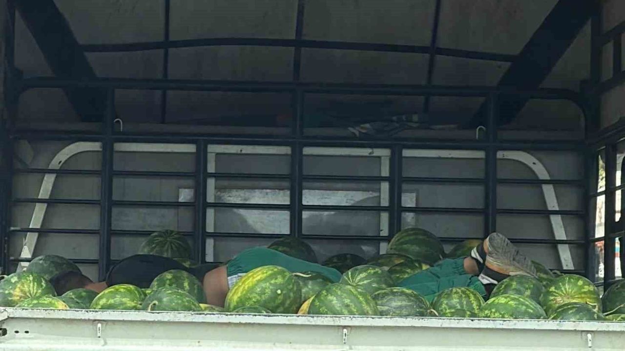 Karpuzlar arasında uyku gülümsetti