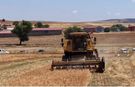 18 yerli nohut çeşidi üreticiyle buluştu