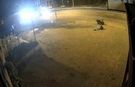 Motosiklet sürücüsü trafik levhasına çarptı