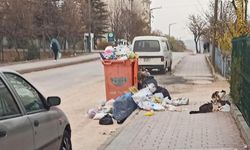 Eskişehir'e yakışmayan görüntü!