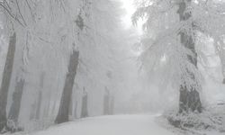 Kartepe’den kar manzaraları