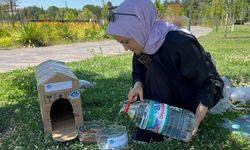 Sokak hayvanlarına mama ve su desteği