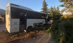 Servis midibüsü ağaçları biçti: 2 yaralı