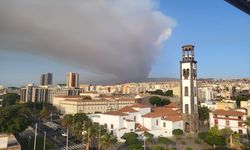 Tenerife Adası’nda orman yangını