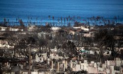 Hawaii'deki orman yangınları