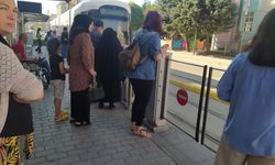 Hastaneler arasında hat istiyorlar