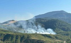 Denizli'de korkutan yangın!