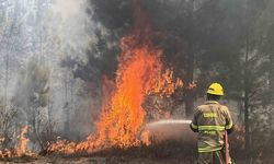 Texas’ta orman yangını: 4 bin 428 dönüm alan yandı