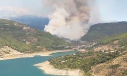 Alanya'da endişelendiren orman yangını