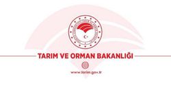 Tarım ve Orman Bakanlığı tarafından aşılama açıklaması