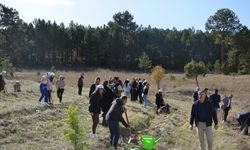 Kütahya'da fidan dikme etkinliği düzenlendi