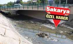 Eskişehir'de kanallar kokuyor DSİ bakıyor!
