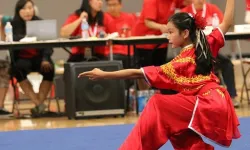 Wushu sporu nedir: İşte kelime anlamı