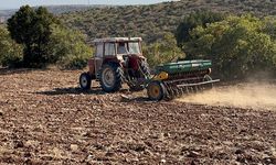 Eskişehir'de hububat ekimi başladı