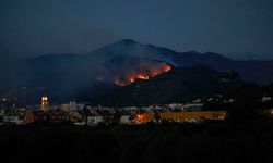 İspanya'da büyük orman yangını: 400 hektarlık alan!