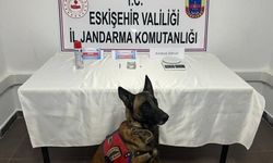 Eskişehir'de jandarmadan uyuşturucu operasyonu