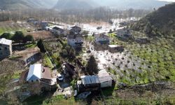 Sakarya'da nehir taştı: Sular altında kaldı