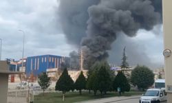Bursa'da plastik toplama fabrikasında yangın