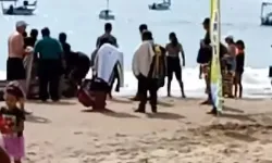 Meksika'da köpek balığı saldırısı!