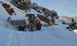 Hava durumuna dikkat: Kuvvetli kar uyarısı