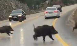 Bursa'da aç kaldılar, karayoluna indiler!