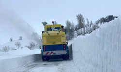 Bitlis'te yollar kapandı: Tek tek açılıyor!