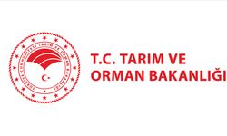 Tarım ve Orman Bakanlığı duyurdu: 7 bin 158 personel alacak!