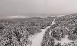 Kazdağı Milli Parkı'nda kar manzaraları