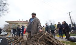 Balıkesir'de üreticilere destek: Meyve fidanı!