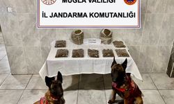 Muğla'da uyuşturucu operasyonu: 1 gözaltı!