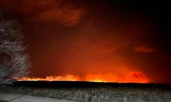 Texas’ta orman yangınları: Alevler yükseldi!