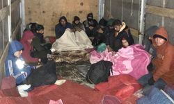Amasya’da 13 kaçak göçmen yakalandı
