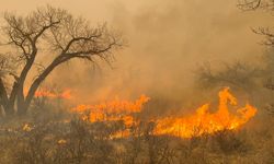Texas’taki orman yangınlarında 1 kişi hayatını kaybetti!