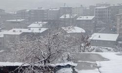 Hakkari'de lapa lapa kar yağışı!