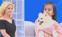 Kayıp köpek Müge Anlı’da bulundu!