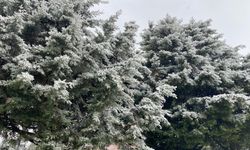 Burdur’da mart ayında lapa lapa kar yağdı!