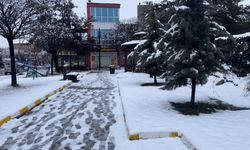 Van, Muradiye’de kar yağışı