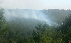 Eskişehir'de korkutan orman yangını!