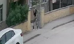 Eskişehir'de 3 ilçede hırsızlık alarmı!