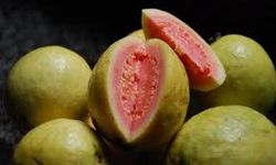 Guava Meyvesi: Tropik bir lezzet ve sağlık deposu!