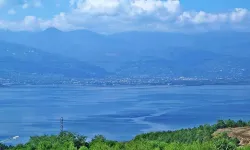 Sapanca Gölü'nün korunması için STK’lardan çağrı